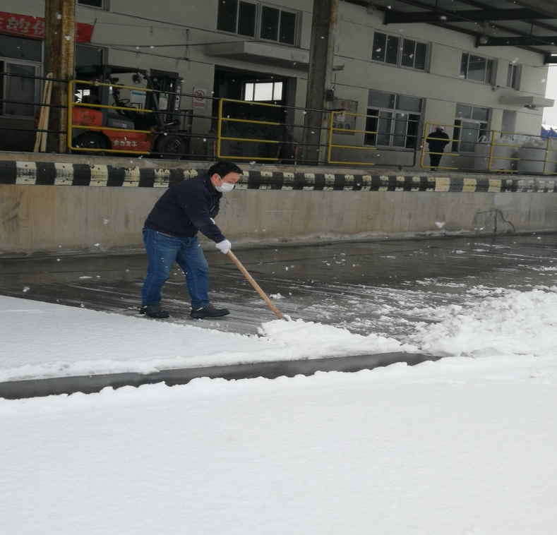 领导除雪3.jpg